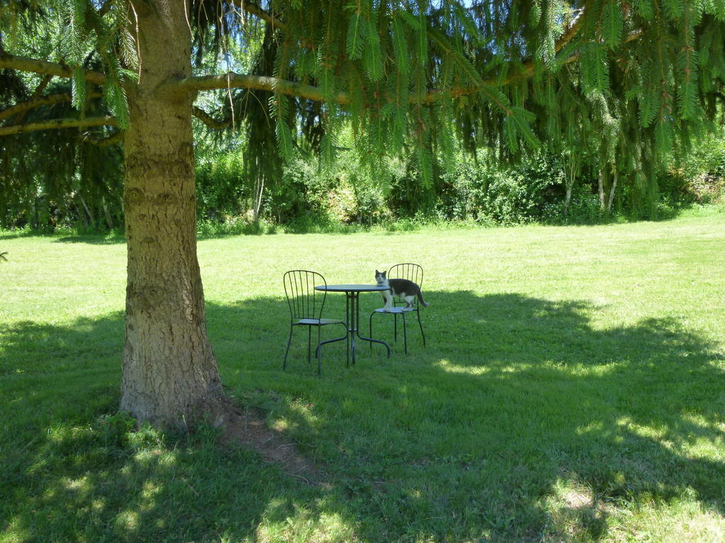Au Mas De Gamet Bed & Breakfast Théminettes Dış mekan fotoğraf