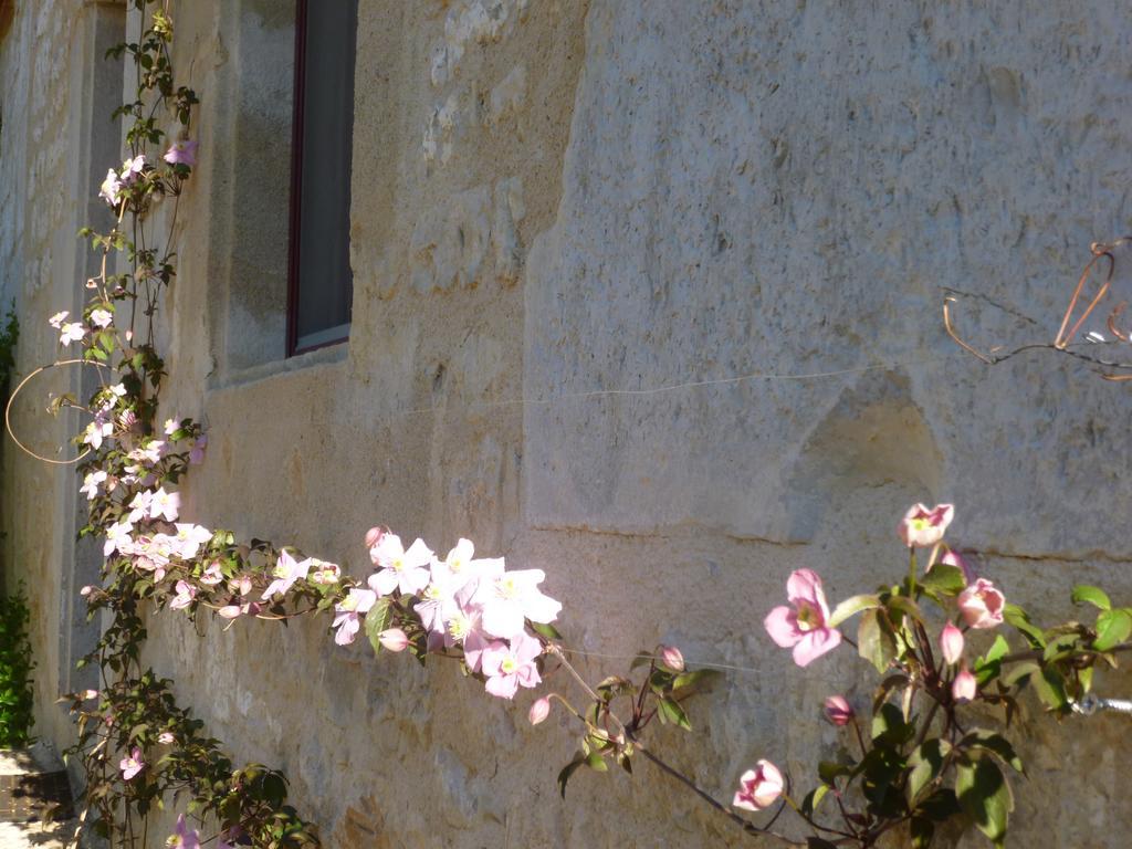 Au Mas De Gamet Bed & Breakfast Théminettes Dış mekan fotoğraf