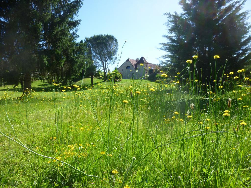Au Mas De Gamet Bed & Breakfast Théminettes Dış mekan fotoğraf